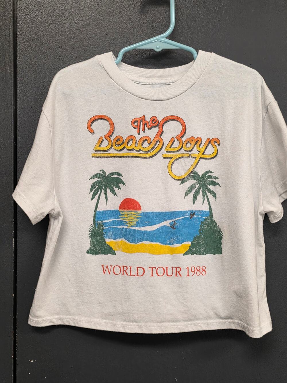 BEACH BOYS T 1021